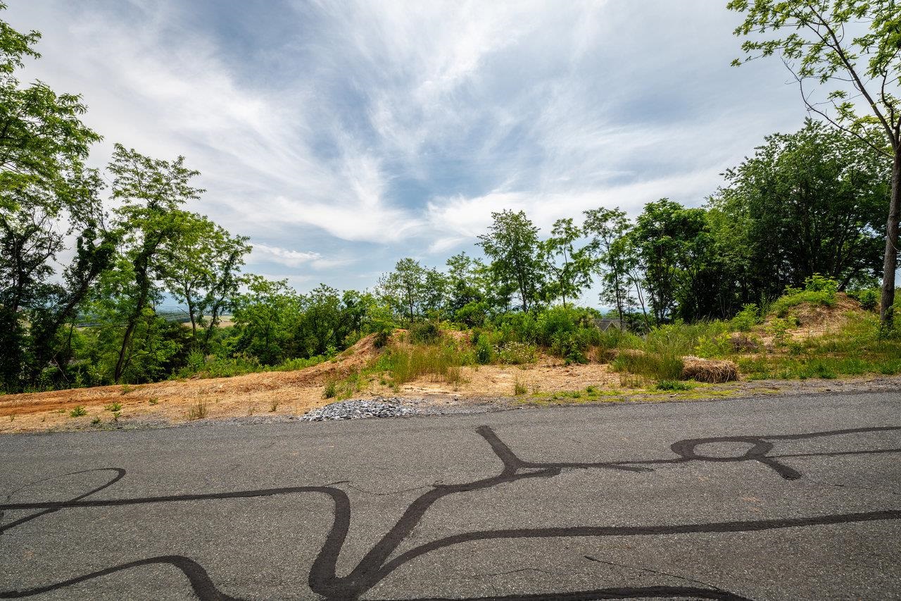 TBD VALLEY VIEW DR, MOUNT SIDNEY, Virginia 24467, ,Land,TBD VALLEY VIEW DR,664967 MLS # 664967