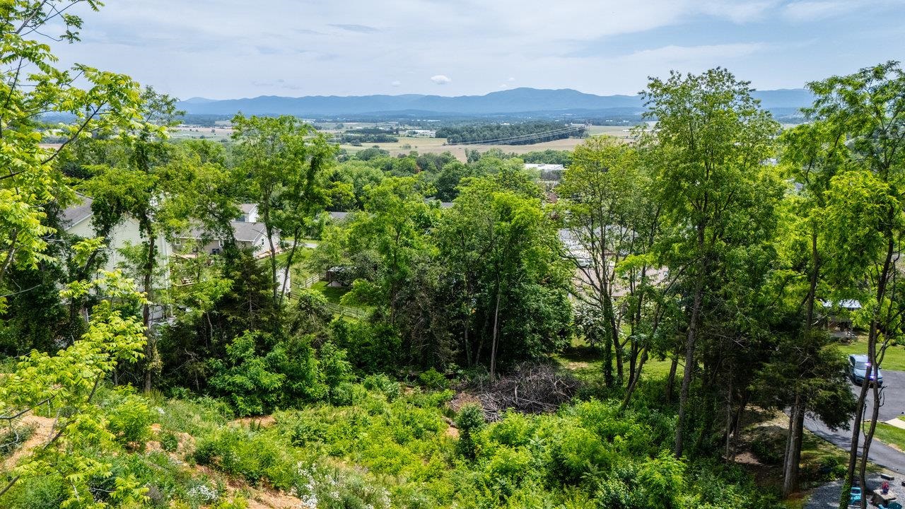 TBD VALLEY VIEW DR, MOUNT SIDNEY, Virginia 24467, ,Land,TBD VALLEY VIEW DR,664967 MLS # 664967
