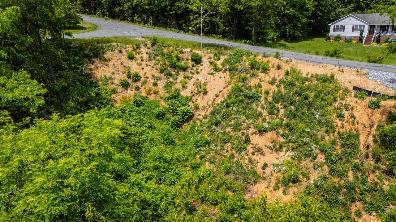 TBD VALLEY VIEW DR, MOUNT SIDNEY, Virginia 24467, ,Land,TBD VALLEY VIEW DR,664967 MLS # 664967