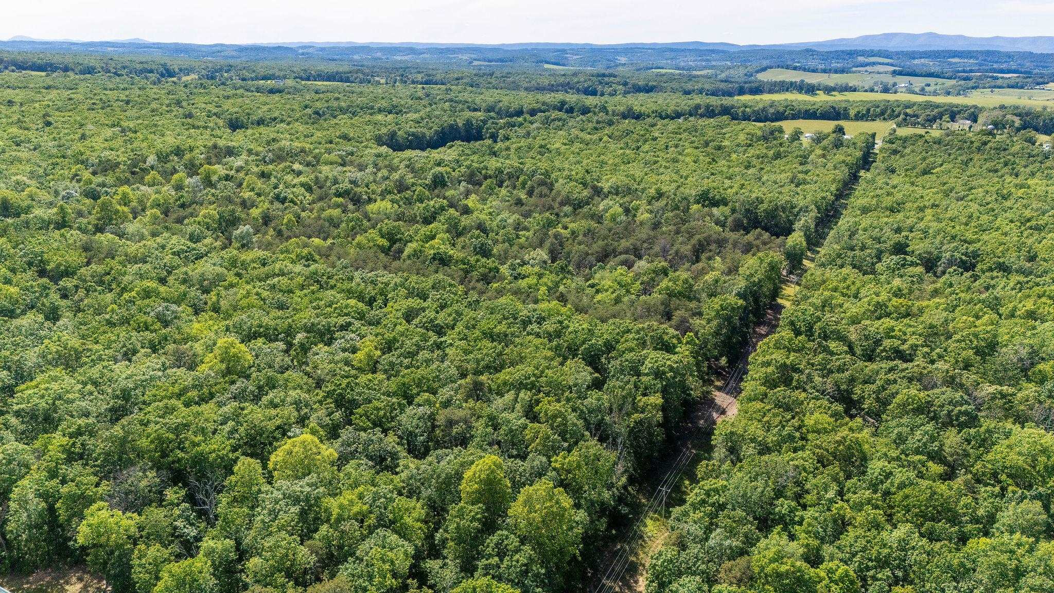 000 COLD SPRINGS RD, STUARTS DRAFT, Virginia 24477, ,Land,000 COLD SPRINGS RD,664972 MLS # 664972