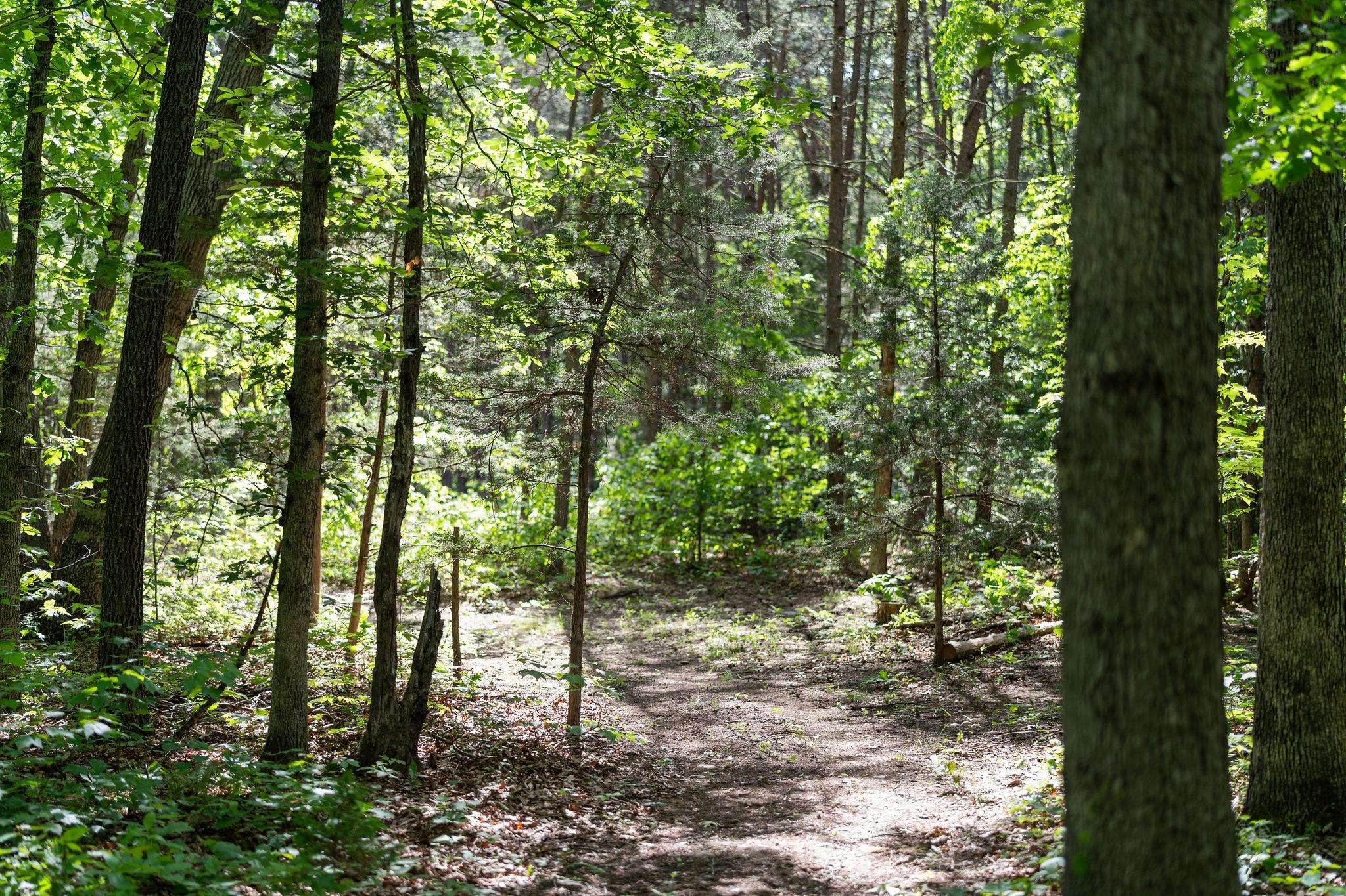 000 COLD SPRINGS RD, STUARTS DRAFT, Virginia 24477, ,Land,000 COLD SPRINGS RD,664972 MLS # 664972