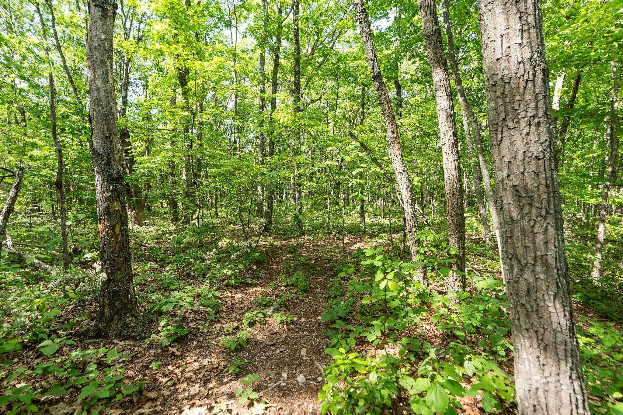 000 COLD SPRINGS RD, STUARTS DRAFT, Virginia 24477, ,Land,000 COLD SPRINGS RD,664972 MLS # 664972