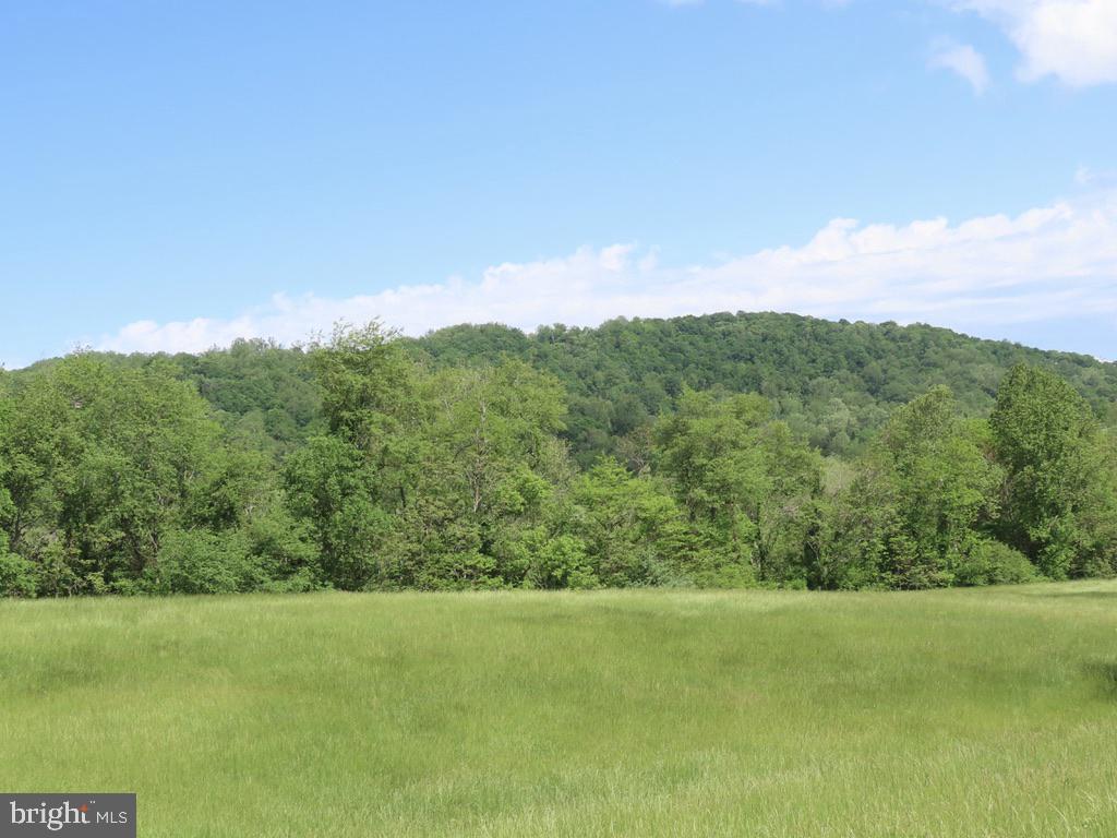 BEN VENUE RD, FLINT HILL, Virginia 22627, ,Land,For sale,BEN VENUE RD,VARP2002076 MLS # VARP2002076