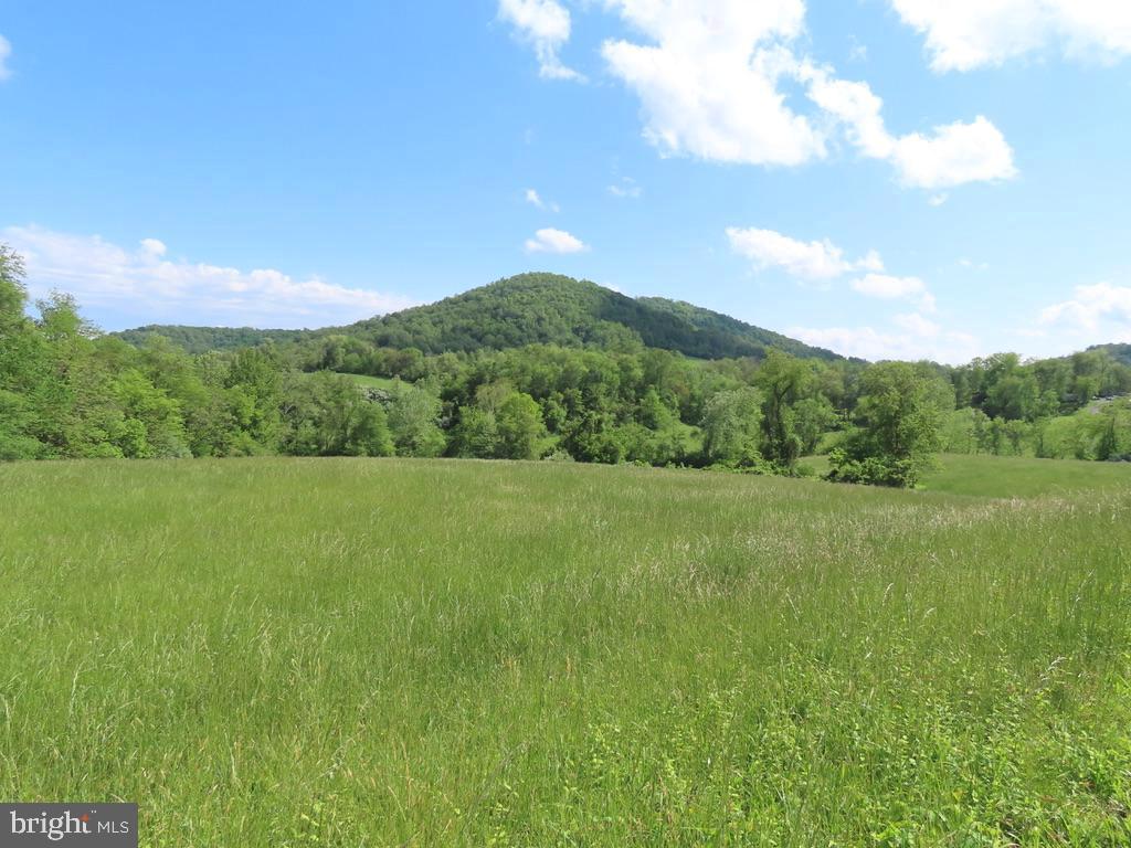 BEN VENUE RD, FLINT HILL, Virginia 22627, ,Land,For sale,BEN VENUE RD,VARP2002076 MLS # VARP2002076