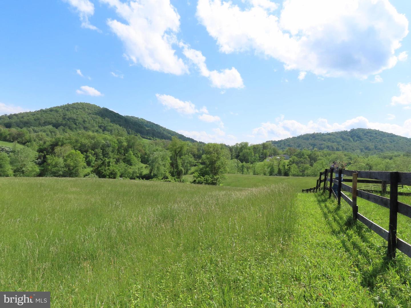 BEN VENUE RD, FLINT HILL, Virginia 22627, ,Land,For sale,BEN VENUE RD,VARP2002076 MLS # VARP2002076