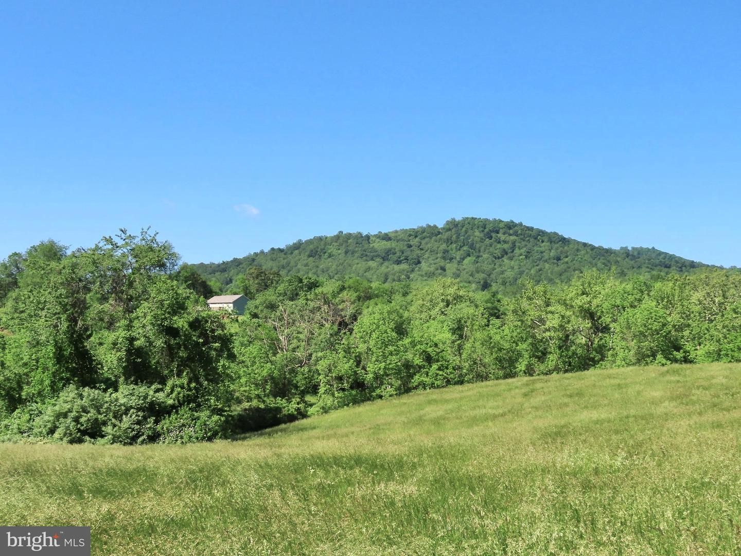 BEN VENUE RD, FLINT HILL, Virginia 22627, ,Land,For sale,BEN VENUE RD,VARP2002076 MLS # VARP2002076
