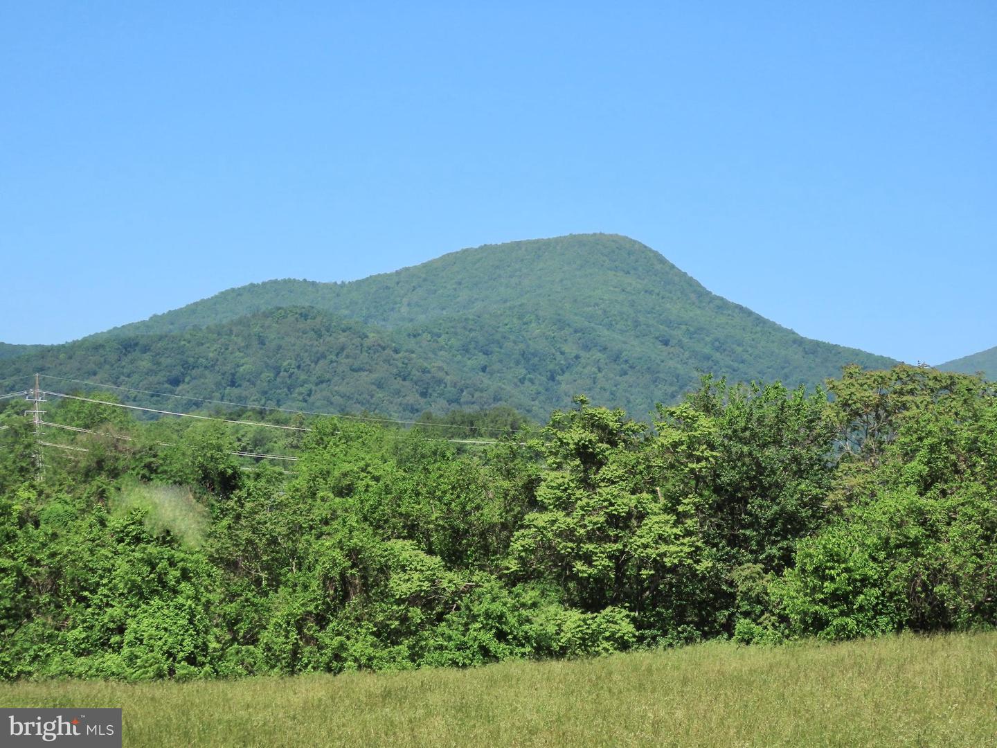 BEN VENUE RD, FLINT HILL, Virginia 22627, ,Land,For sale,BEN VENUE RD,VARP2002076 MLS # VARP2002076