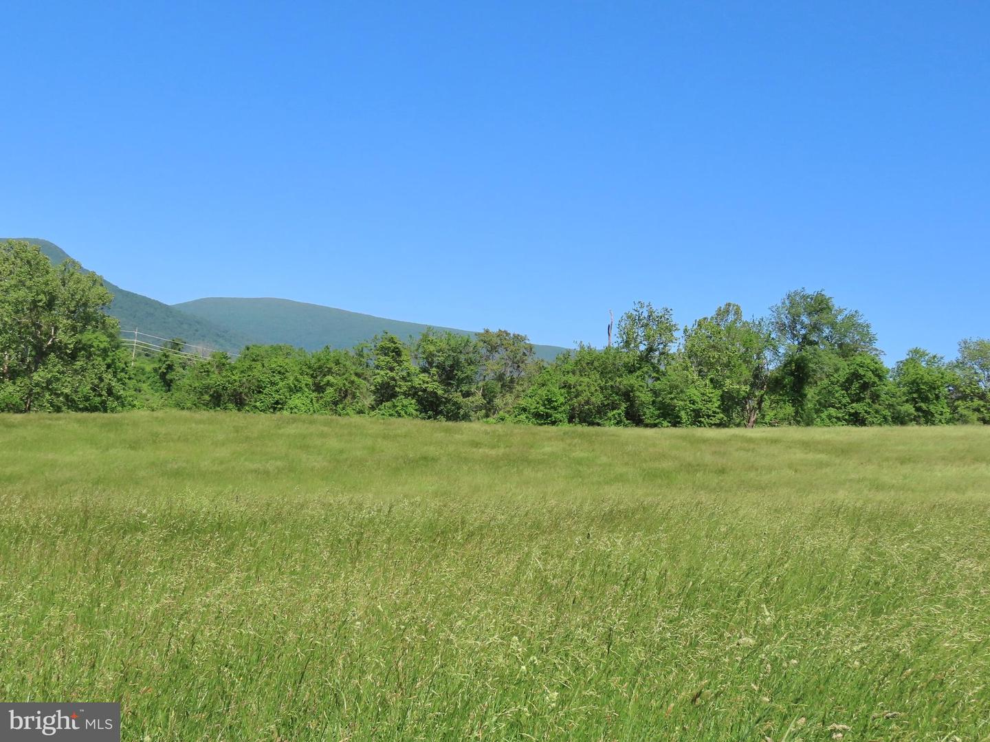 BEN VENUE RD, FLINT HILL, Virginia 22627, ,Land,For sale,BEN VENUE RD,VARP2002076 MLS # VARP2002076