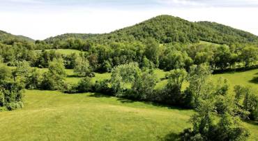 BEN VENUE RD, FLINT HILL, Virginia 22627, ,Land,For sale,BEN VENUE RD,VARP2002076 MLS # VARP2002076