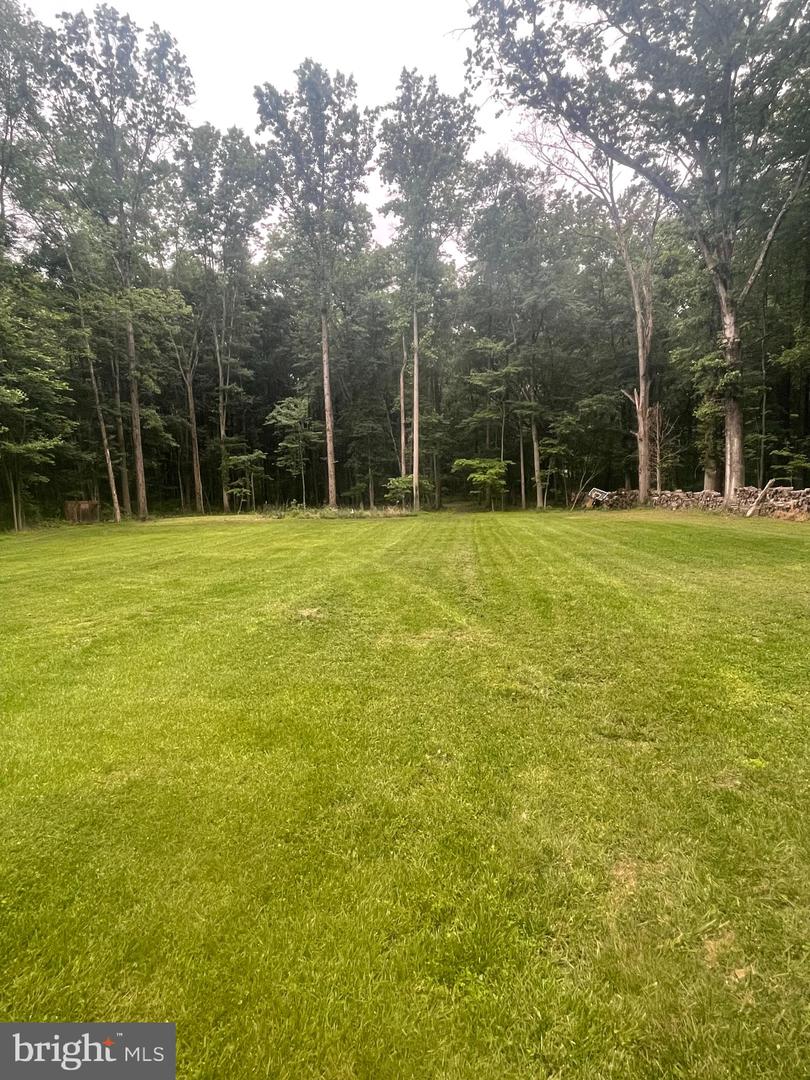24213 CORKTREE LN, ALDIE, Virginia 20105, ,Land,For sale,24213 CORKTREE LN,VALO2097744 MLS # VALO2097744
