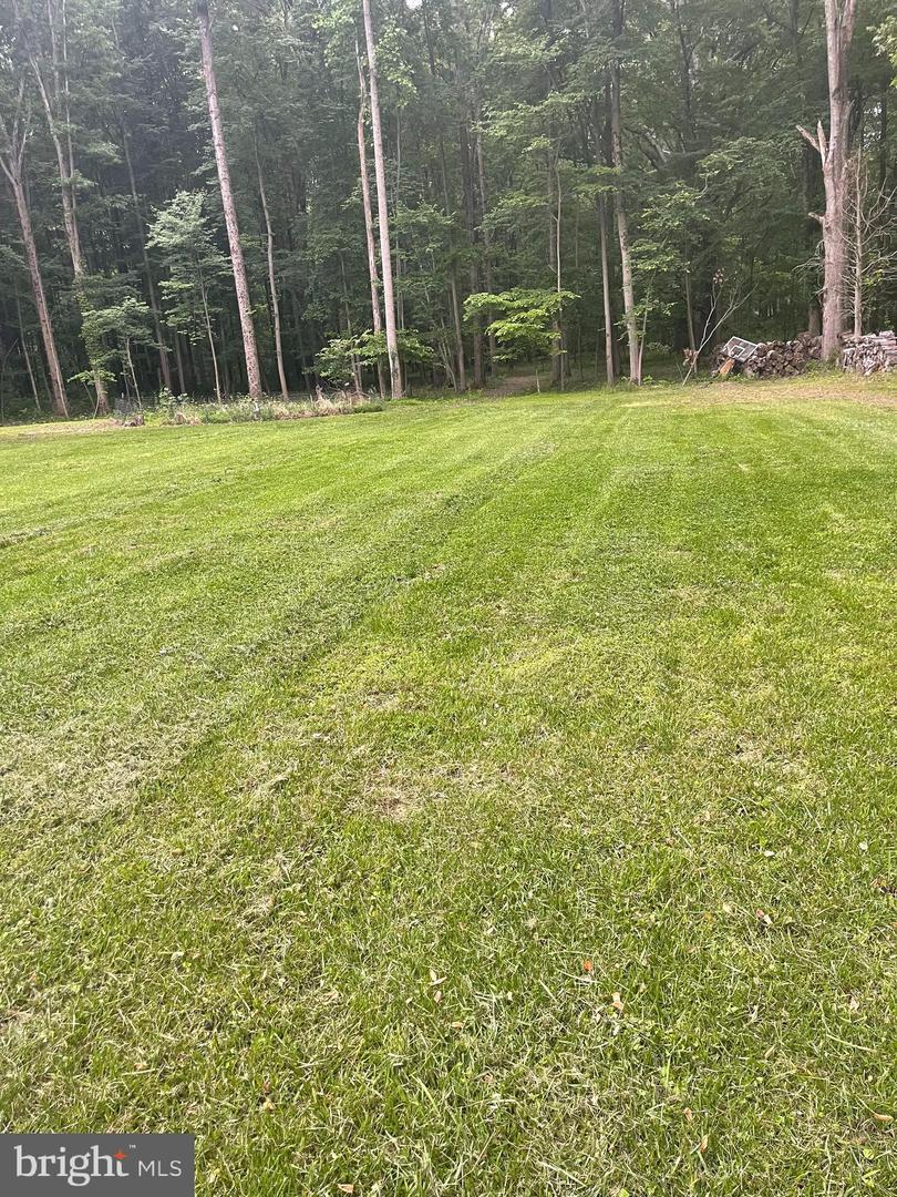 24213 CORKTREE LN, ALDIE, Virginia 20105, ,Land,For sale,24213 CORKTREE LN,VALO2097744 MLS # VALO2097744