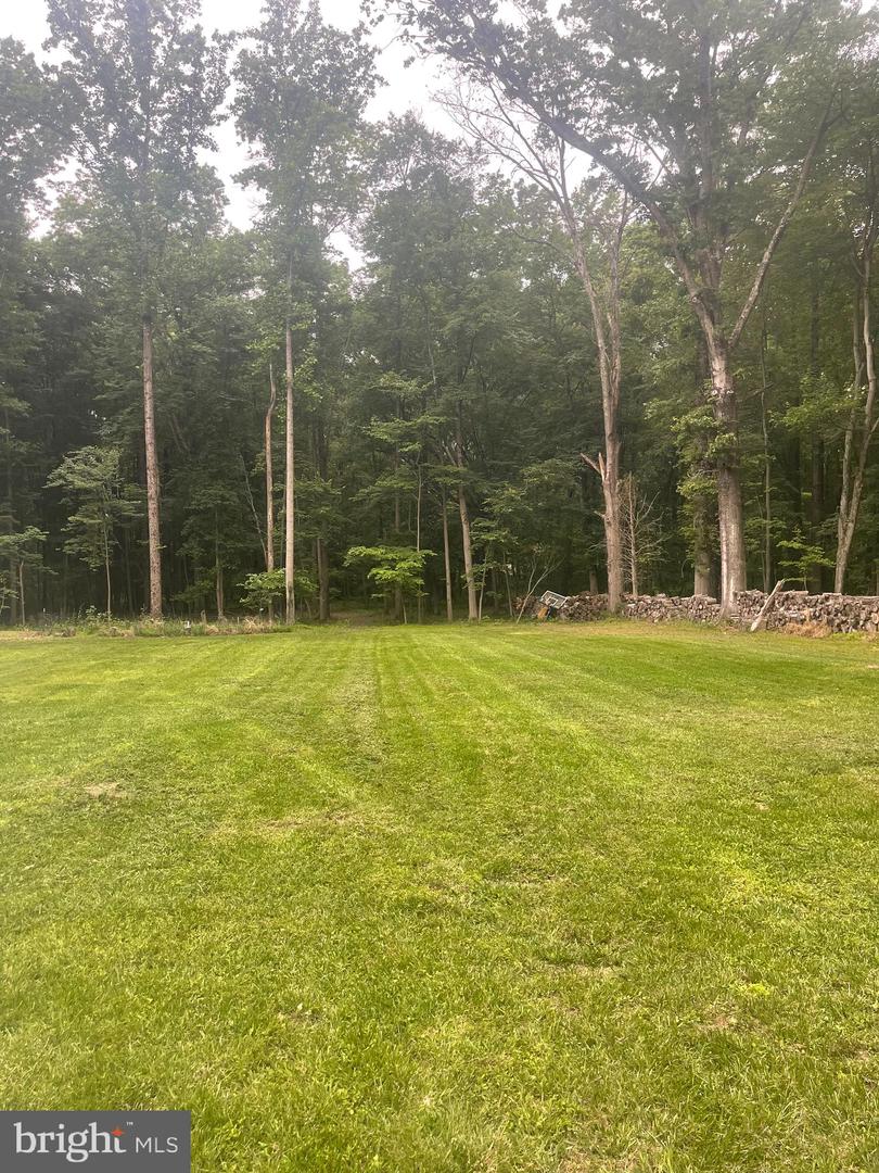 24213 CORKTREE LN, ALDIE, Virginia 20105, ,Land,For sale,24213 CORKTREE LN,VALO2097744 MLS # VALO2097744
