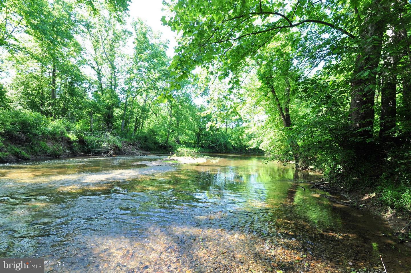 TAPPS FORD RD, AMISSVILLE, Virginia 20106, ,Farm,For sale,TAPPS FORD RD,VAFQ2016768 MLS # VAFQ2016768