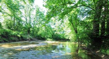 TAPPS FORD RD, AMISSVILLE, Virginia 20106, ,Farm,For sale,TAPPS FORD RD,VAFQ2016768 MLS # VAFQ2016768