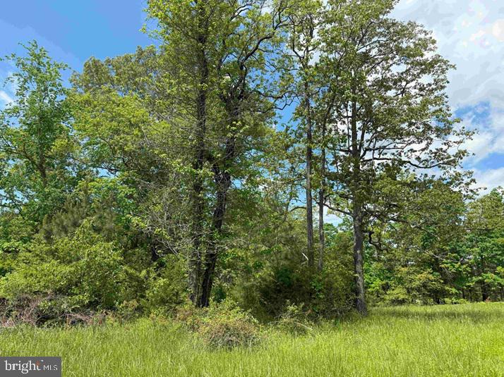 SHILO CHURCH ROAD (STATE RT. 647), CUNNINGHAM, Virginia 22963, ,Land,For sale,SHILO CHURCH ROAD (STATE RT. 647),VAFN2000472 MLS # VAFN2000472