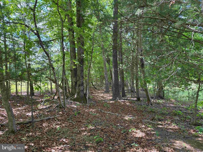 SHILO CHURCH ROAD (STATE RT. 647), CUNNINGHAM, Virginia 22963, ,Land,For sale,SHILO CHURCH ROAD (STATE RT. 647),VAFN2000472 MLS # VAFN2000472