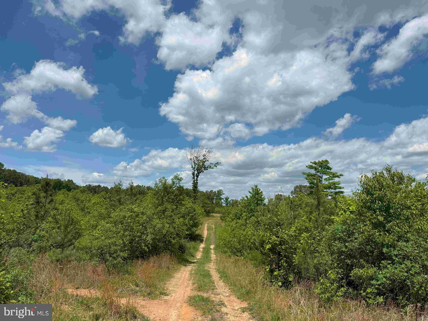 SHILO CHURCH ROAD (STATE RT. 647), CUNNINGHAM, Virginia 22963, ,Land,For sale,SHILO CHURCH ROAD (STATE RT. 647),VAFN2000472 MLS # VAFN2000472