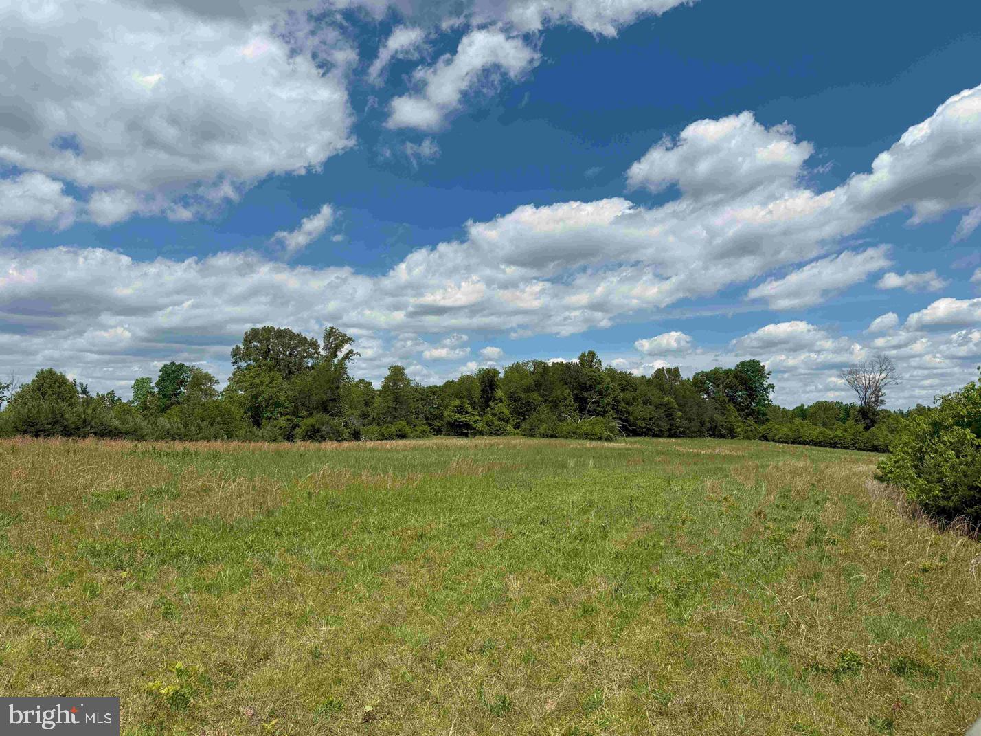 SHILO CHURCH ROAD (STATE RT. 647), CUNNINGHAM, Virginia 22963, ,Land,For sale,SHILO CHURCH ROAD (STATE RT. 647),VAFN2000472 MLS # VAFN2000472