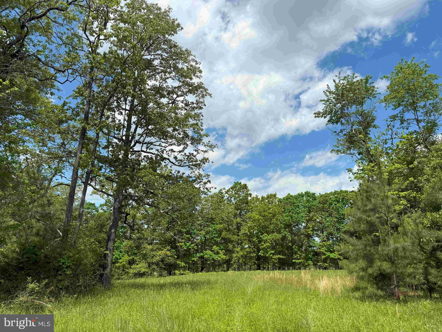 SHILO CHURCH ROAD (STATE RT. 647), CUNNINGHAM, Virginia 22963, ,Land,For sale,SHILO CHURCH ROAD (STATE RT. 647),VAFN2000472 MLS # VAFN2000472