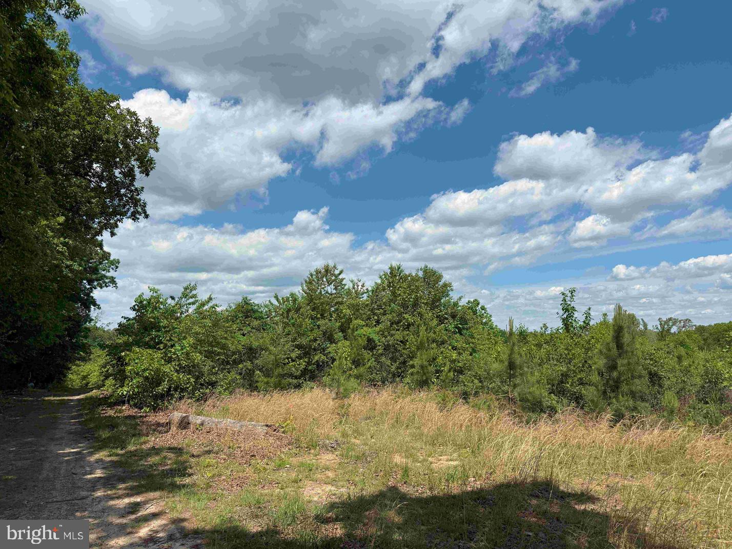 SHILO CHURCH ROAD (STATE RT. 647), CUNNINGHAM, Virginia 22963, ,Land,For sale,SHILO CHURCH ROAD (STATE RT. 647),VAFN2000472 MLS # VAFN2000472