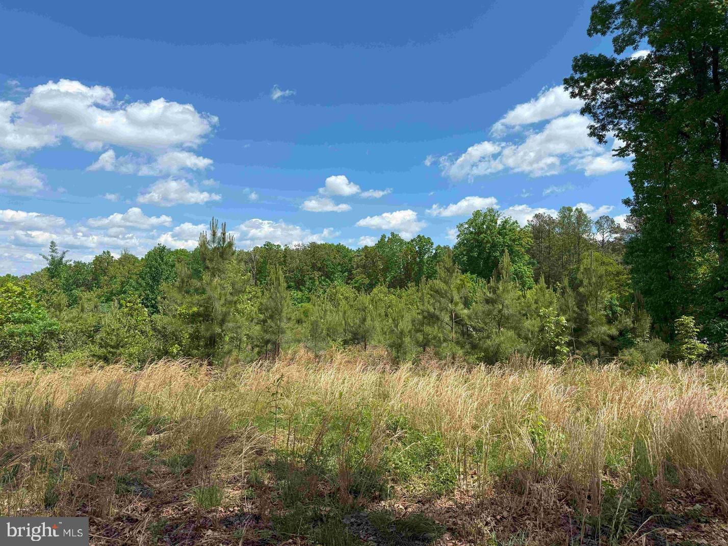 SHILO CHURCH ROAD (STATE RT. 647), CUNNINGHAM, Virginia 22963, ,Land,For sale,SHILO CHURCH ROAD (STATE RT. 647),VAFN2000472 MLS # VAFN2000472