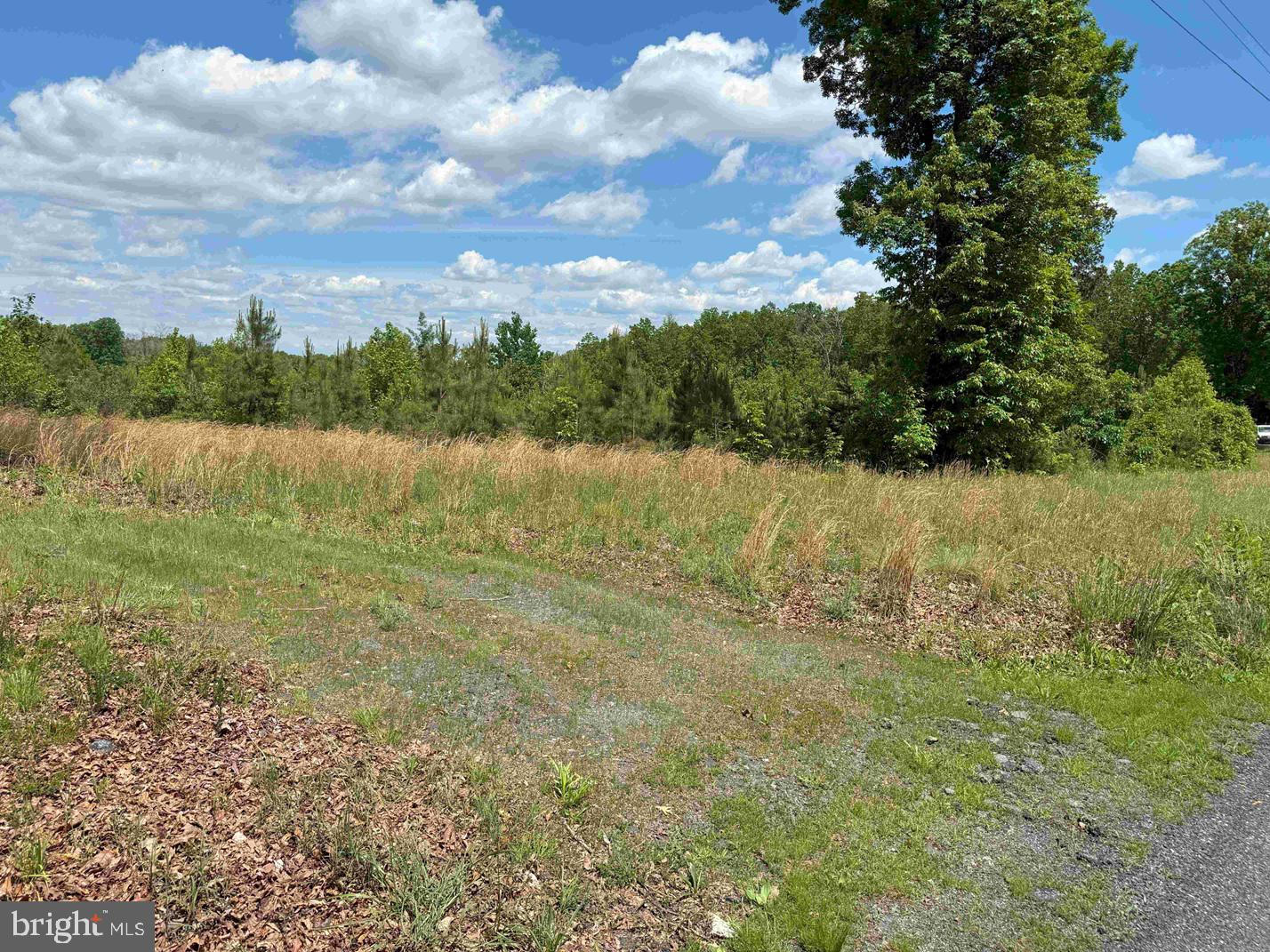 SHILO CHURCH ROAD (STATE RT. 647), CUNNINGHAM, Virginia 22963, ,Land,For sale,SHILO CHURCH ROAD (STATE RT. 647),VAFN2000472 MLS # VAFN2000472