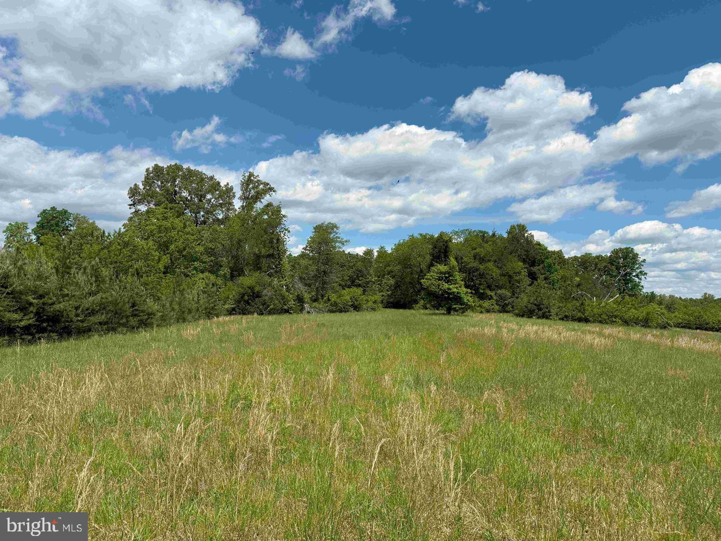 SHILO CHURCH ROAD (STATE RT. 647), CUNNINGHAM, Virginia 22963, ,Land,For sale,SHILO CHURCH ROAD (STATE RT. 647),VAFN2000472 MLS # VAFN2000472
