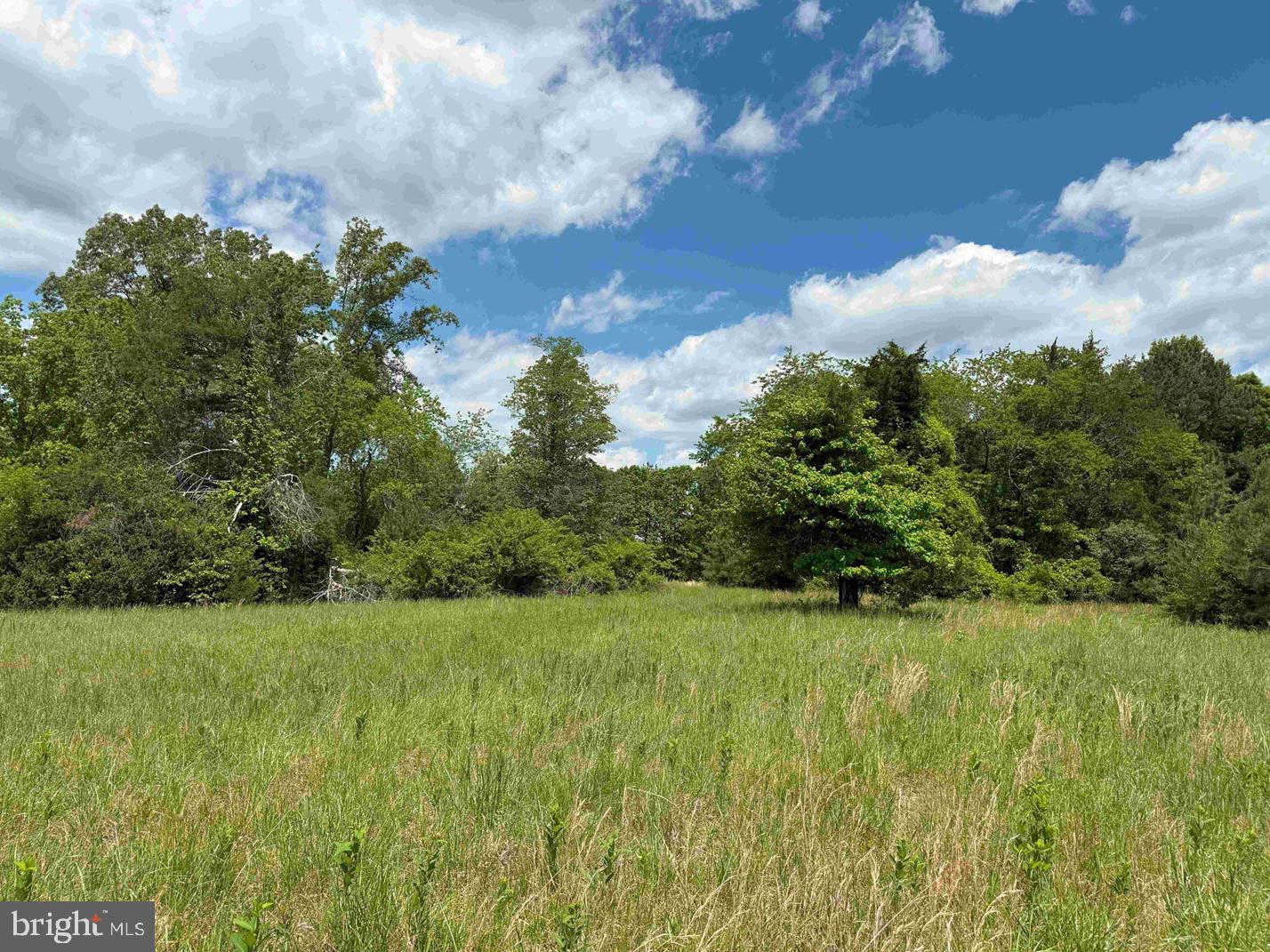 SHILO CHURCH ROAD (STATE RT. 647), CUNNINGHAM, Virginia 22963, ,Land,For sale,SHILO CHURCH ROAD (STATE RT. 647),VAFN2000472 MLS # VAFN2000472