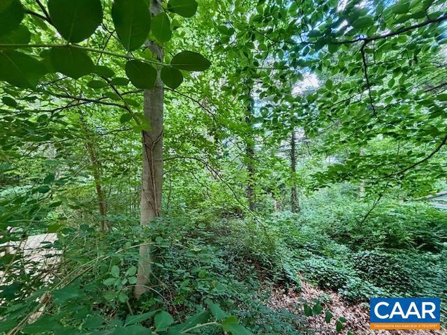 1426 DAIRY RD, CHARLOTTESVILLE, Virginia 22903, ,Land,For sale,1426 DAIRY RD,664955 MLS # 664955