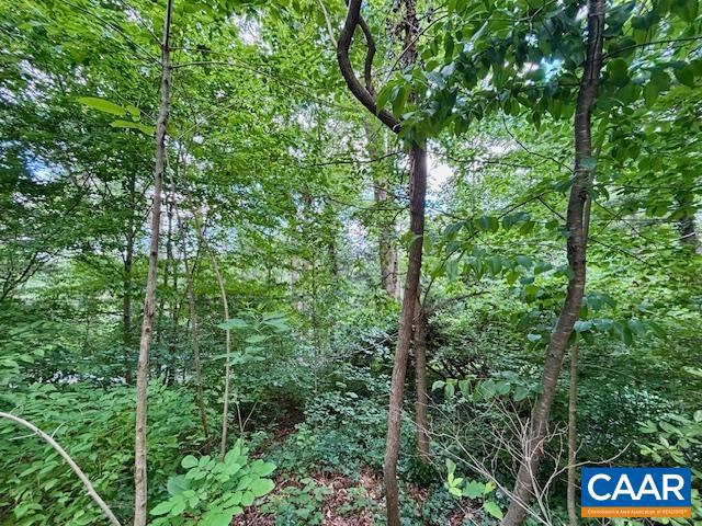 1426 DAIRY RD, CHARLOTTESVILLE, Virginia 22903, ,Land,For sale,1426 DAIRY RD,664955 MLS # 664955