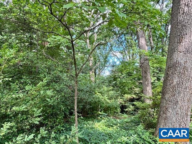 1426 DAIRY RD, CHARLOTTESVILLE, Virginia 22903, ,Land,For sale,1426 DAIRY RD,664955 MLS # 664955