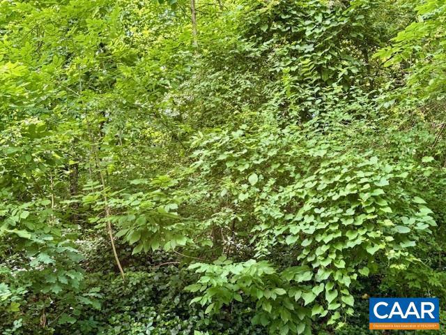 1426 DAIRY RD, CHARLOTTESVILLE, Virginia 22903, ,Land,For sale,1426 DAIRY RD,664955 MLS # 664955