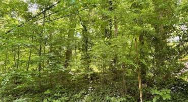 1426 DAIRY RD, CHARLOTTESVILLE, Virginia 22903, ,Land,For sale,1426 DAIRY RD,664955 MLS # 664955