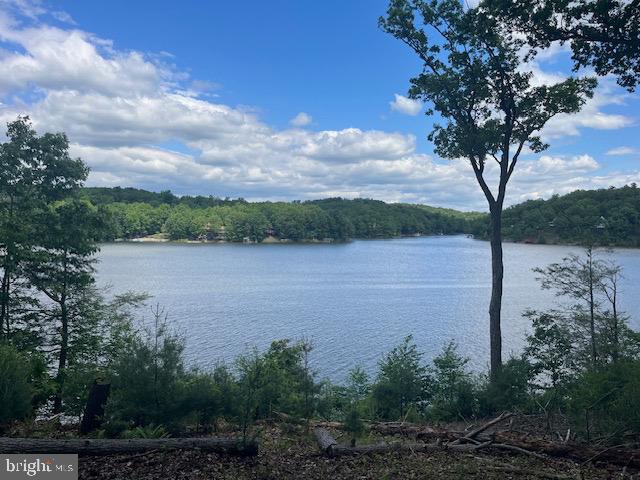 SOUTHWOOD DR--LAKEFRONT, CROSS JUNCTION, Virginia 22625, ,Land,For sale,SOUTHWOOD DR--LAKEFRONT,VAFV2034408 MLS # VAFV2034408
