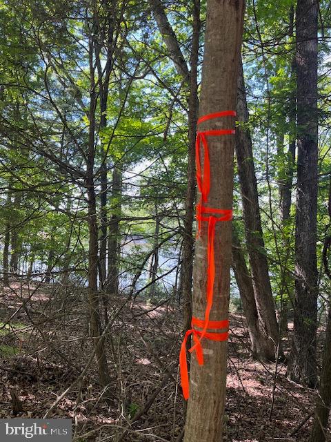 SOUTHWOOD DR--LAKEFRONT, CROSS JUNCTION, Virginia 22625, ,Land,For sale,SOUTHWOOD DR--LAKEFRONT,VAFV2034408 MLS # VAFV2034408
