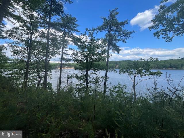 SOUTHWOOD DR--LAKEFRONT, CROSS JUNCTION, Virginia 22625, ,Land,For sale,SOUTHWOOD DR--LAKEFRONT,VAFV2034408 MLS # VAFV2034408