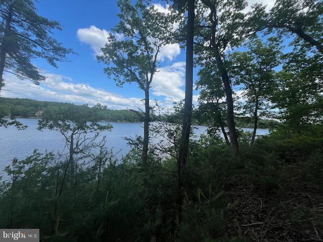 SOUTHWOOD DR--LAKEFRONT, CROSS JUNCTION, Virginia 22625, ,Land,For sale,SOUTHWOOD DR--LAKEFRONT,VAFV2034408 MLS # VAFV2034408
