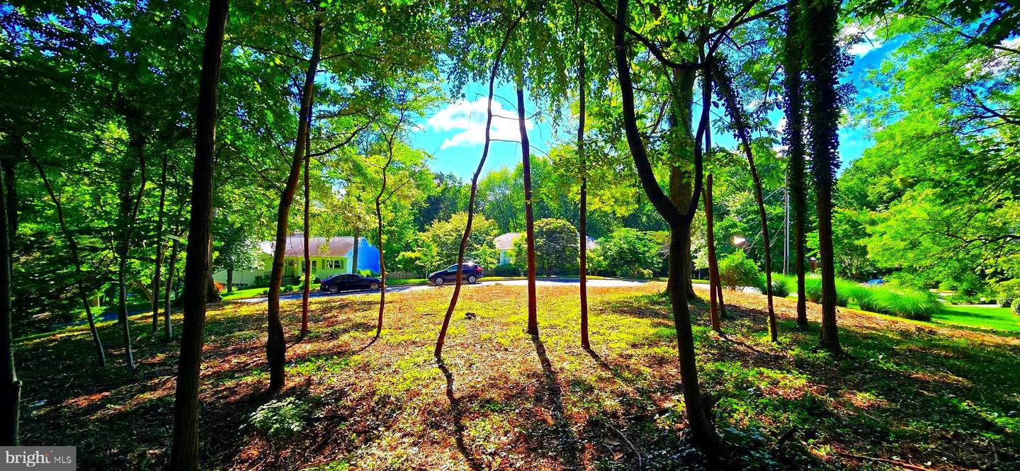 1622 CRESCENT LN, MCLEAN, Virginia 22101, ,Land,For sale,1622 CRESCENT LN,VAFX2243202 MLS # VAFX2243202