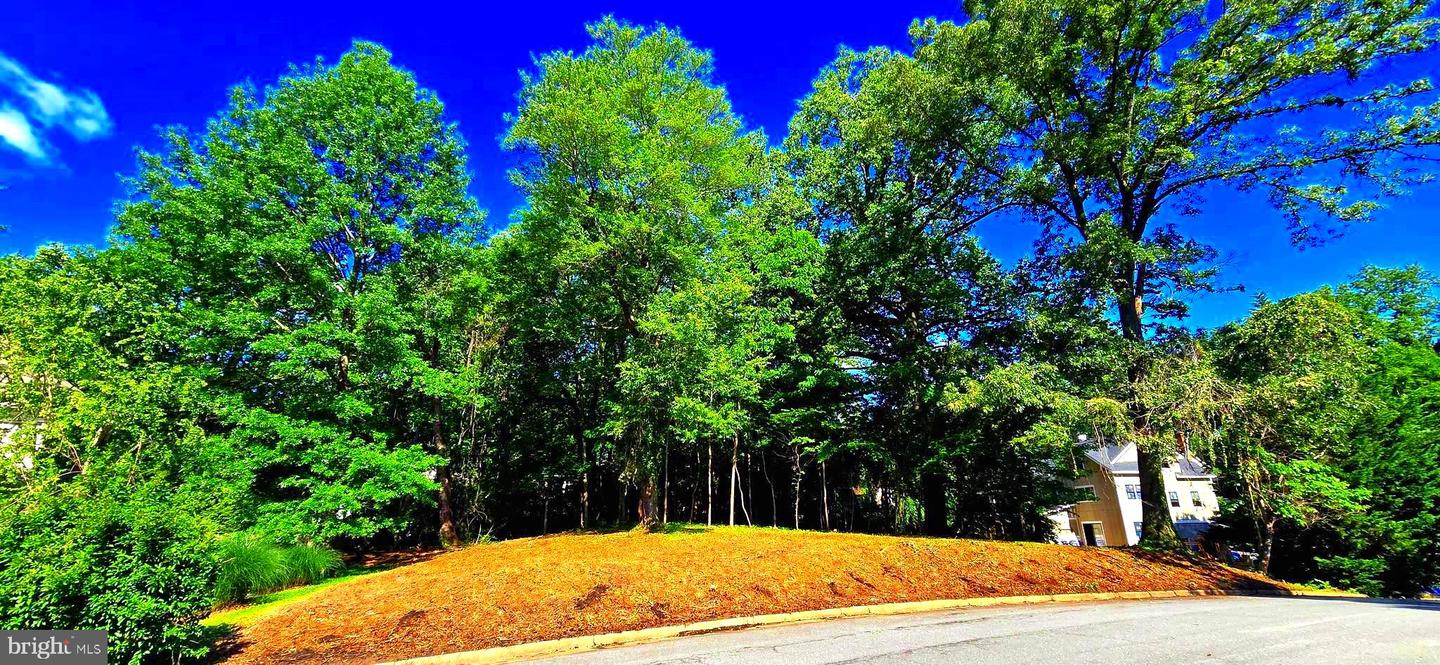 1622 CRESCENT LN, MCLEAN, Virginia 22101, ,Land,For sale,1622 CRESCENT LN,VAFX2243202 MLS # VAFX2243202