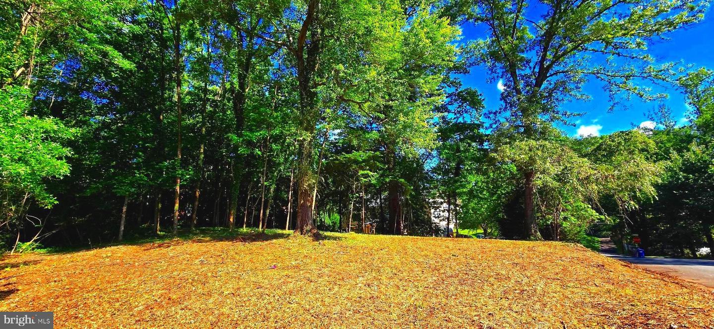 1622 CRESCENT LN, MCLEAN, Virginia 22101, ,Land,For sale,1622 CRESCENT LN,VAFX2243202 MLS # VAFX2243202