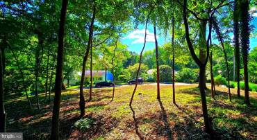 1622 CRESCENT LN, MCLEAN, Virginia 22101, ,Land,For sale,1622 CRESCENT LN,VAFX2243202 MLS # VAFX2243202