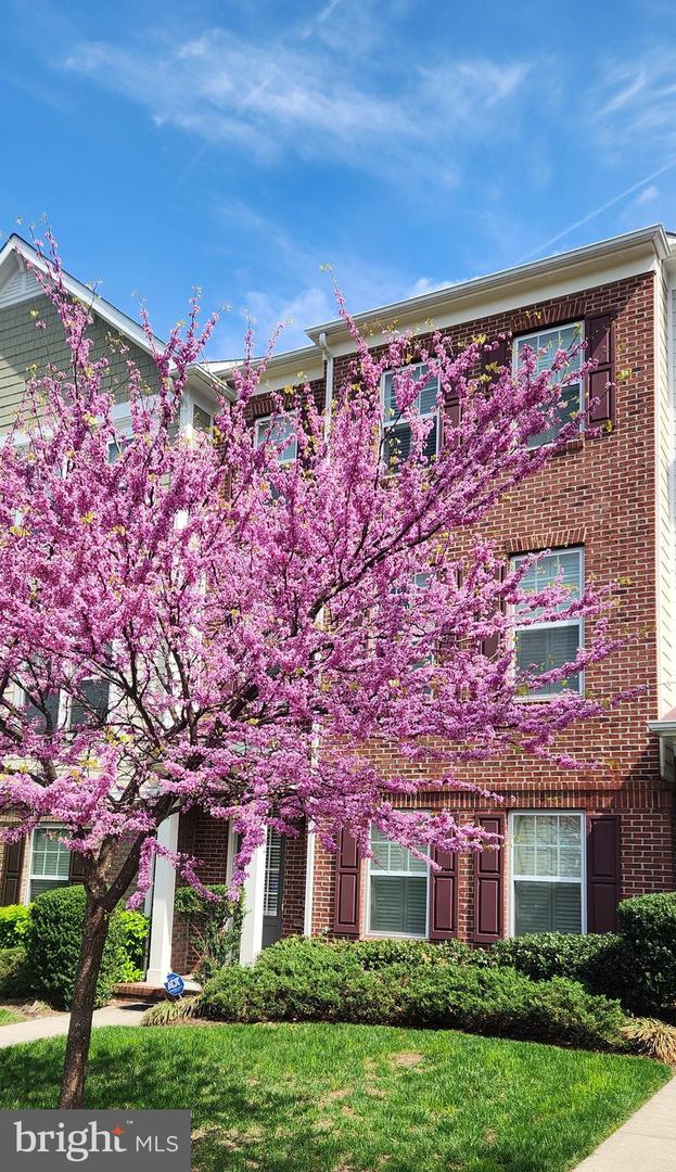 109 ANTHEM AVE, HERNDON, Virginia 20170, 3 Bedrooms Bedrooms, ,2 BathroomsBathrooms,Residential,For sale,109 ANTHEM AVE,VAFX2239574 MLS # VAFX2239574