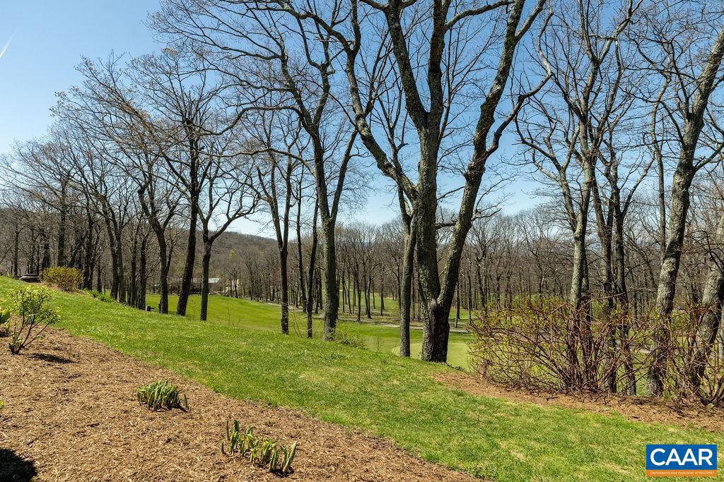 2070 STONE RIDGE CONDOS, WINTERGREEN, Virginia 22967, 3 Bedrooms Bedrooms, ,3 BathroomsBathrooms,Residential,For sale,2070 STONE RIDGE CONDOS,664823 MLS # 664823