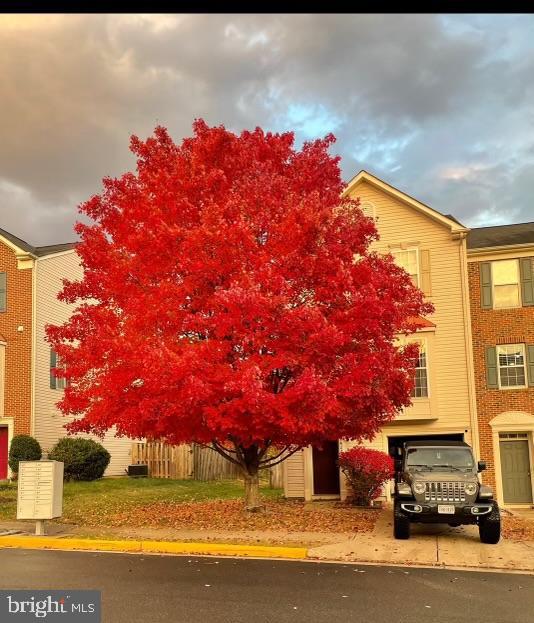 1422 BIRD WATCH CT, WOODBRIDGE, Virginia 22191, 3 Bedrooms Bedrooms, ,2 BathroomsBathrooms,Residential,For sale,1422 BIRD WATCH CT,VAPW2095304 MLS # VAPW2095304