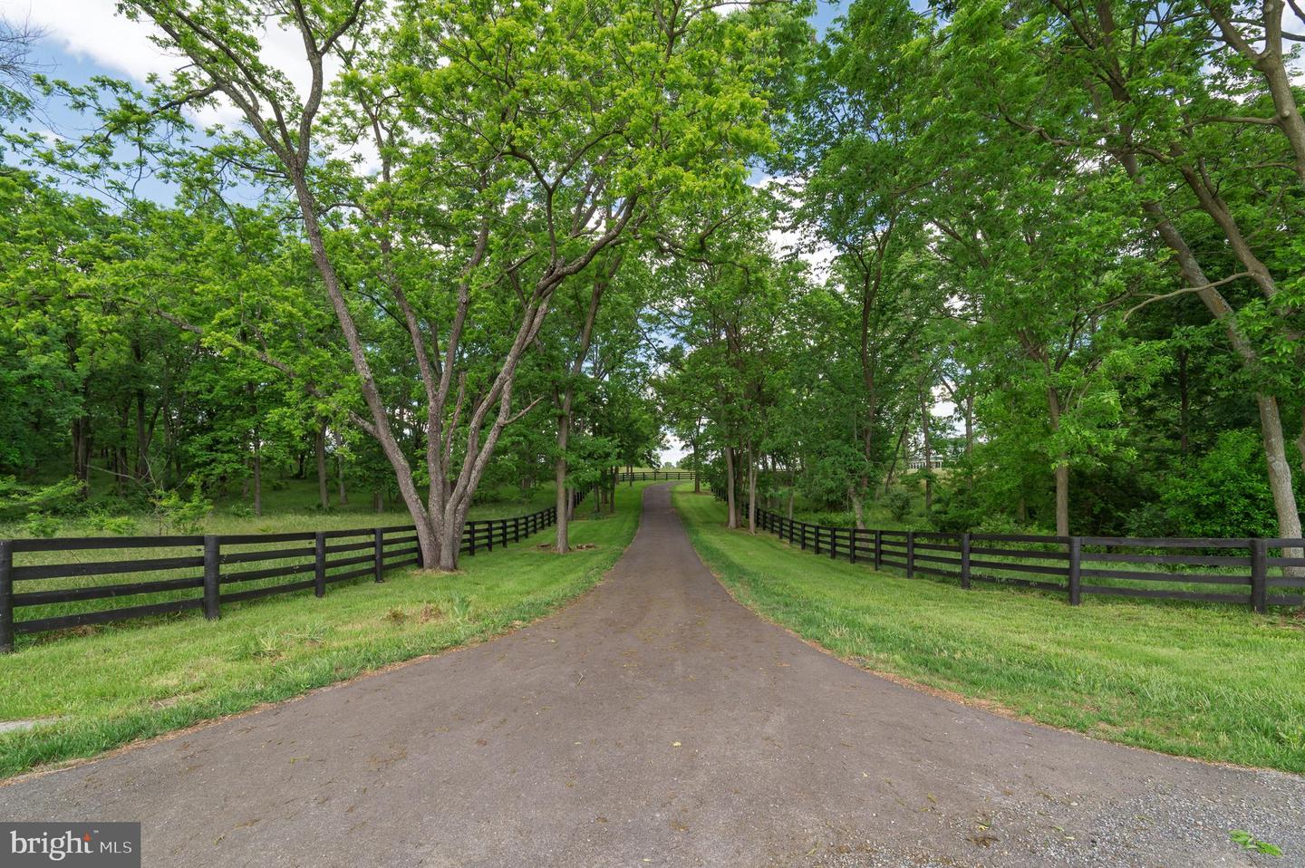 739 PIERCE RD, BERRYVILLE, Virginia 22611, 5 Bedrooms Bedrooms, ,3 BathroomsBathrooms,Residential,For sale,739 PIERCE RD,VACL2003768 MLS # VACL2003768
