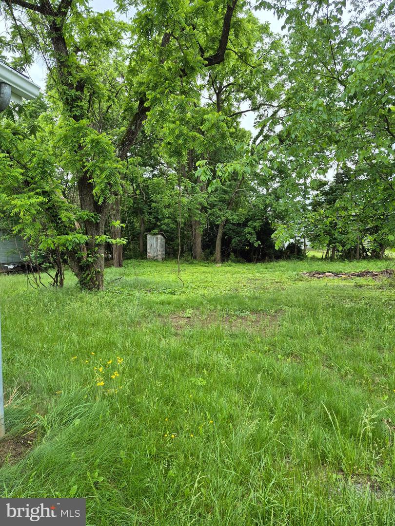 1106 MORELAND GAP RD, NEW MARKET, Virginia 22844, 2 Bedrooms Bedrooms, ,1 BathroomBathrooms,Residential,For sale,1106 MORELAND GAP RD,VASH2011552 MLS # VASH2011552