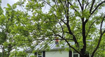 1106 MORELAND GAP RD, NEW MARKET, Virginia 22844, 2 Bedrooms Bedrooms, ,1 BathroomBathrooms,Residential,For sale,1106 MORELAND GAP RD,VASH2011552 MLS # VASH2011552