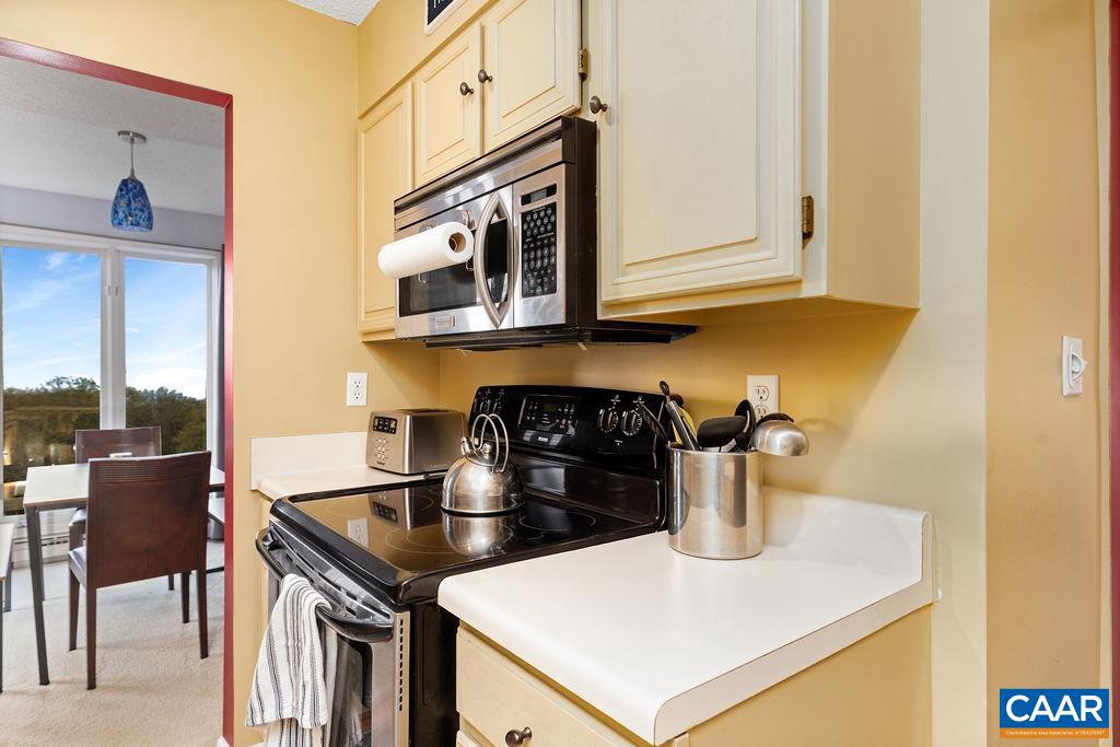 3211 NORTH RIDGE CONDOS, WINTERGREEN RESORT, Virginia 22967, 2 Bedrooms Bedrooms, ,2 BathroomsBathrooms,Residential,For sale,3211 NORTH RIDGE CONDOS,664953 MLS # 664953