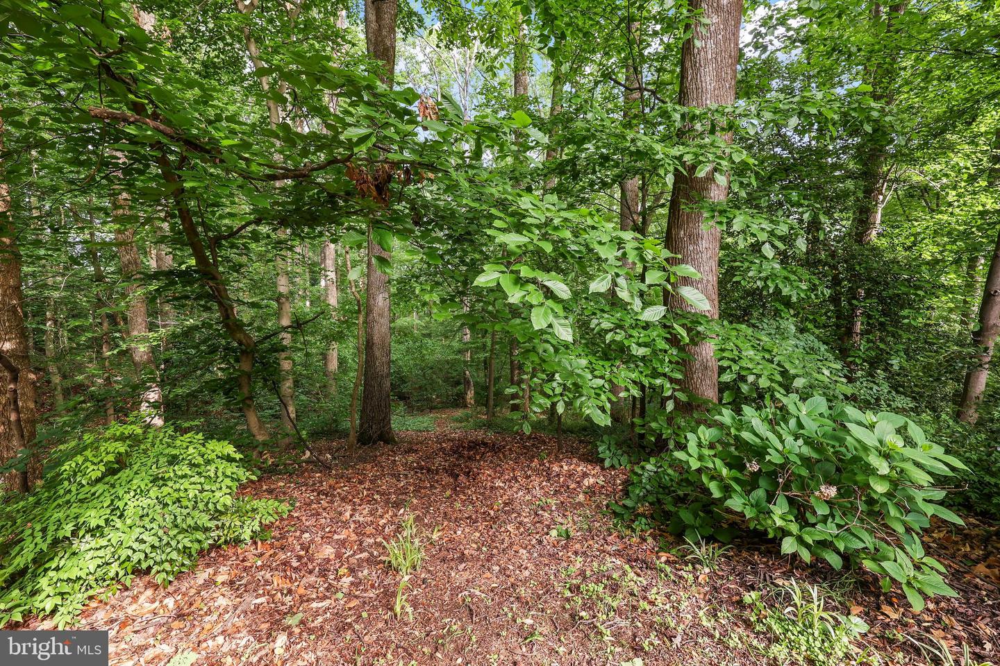 7 FRANTZ CT, FREDERICKSBURG, Virginia 22405, 4 Bedrooms Bedrooms, ,3 BathroomsBathrooms,Residential,For sale,7 FRANTZ CT,VAST2038920 MLS # VAST2038920