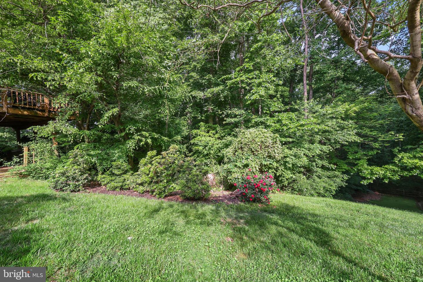 7 FRANTZ CT, FREDERICKSBURG, Virginia 22405, 4 Bedrooms Bedrooms, ,3 BathroomsBathrooms,Residential,For sale,7 FRANTZ CT,VAST2038920 MLS # VAST2038920
